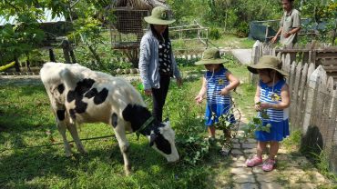 Tham quan nông trại: Chuyến đi nhỏ, niềm vui lớn “Con tập làm nông dân”