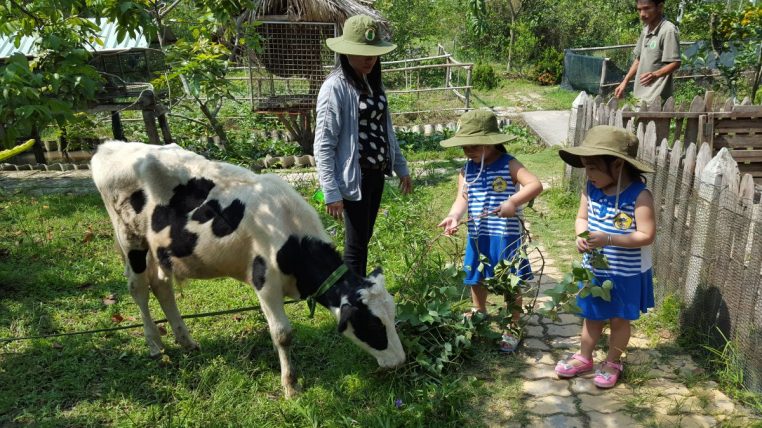 Tham quan nông trại trường mầm non Hoa Mai Quận 5
